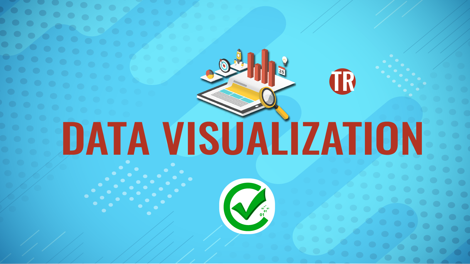 Data Visualization 106