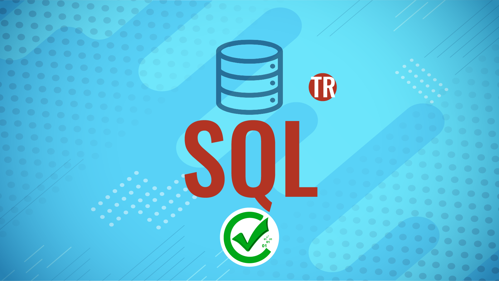 SQL Server 106