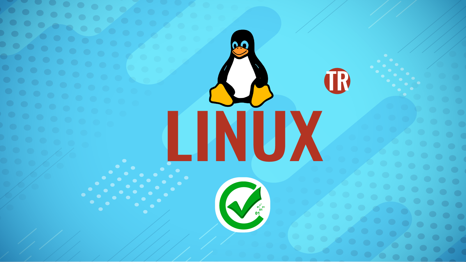 Linux 107 128