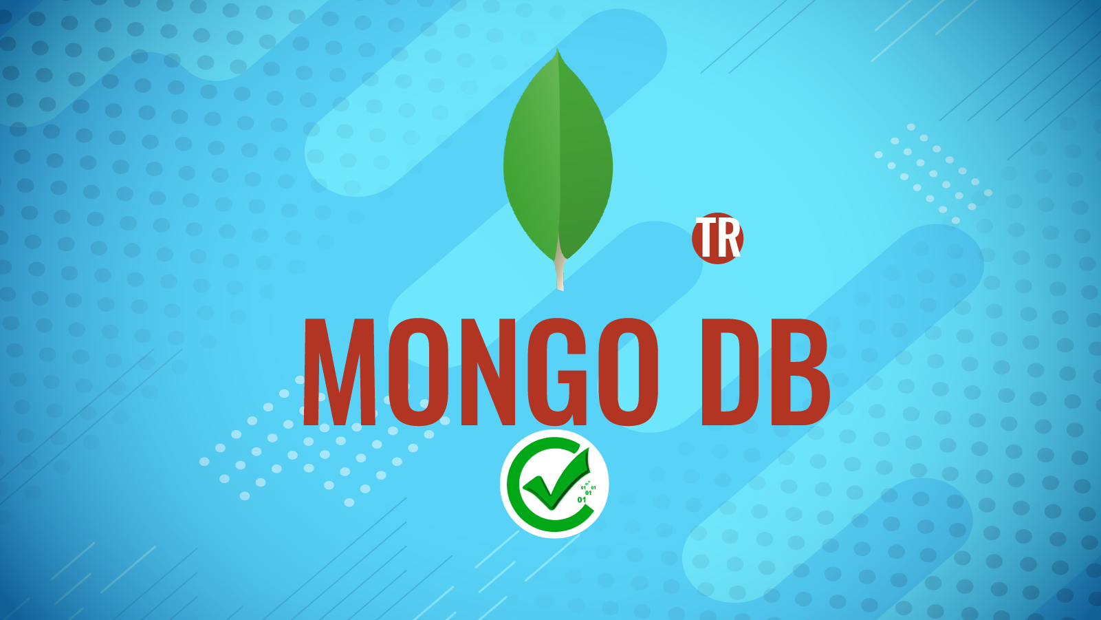 MongoDB 116