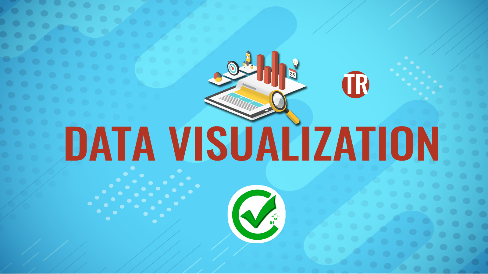 Data Visualization 270 271