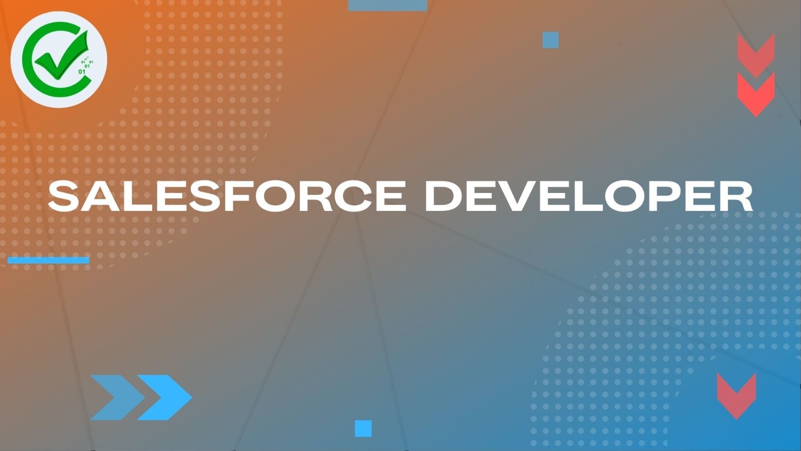 SFD - Salesforce Developer TR