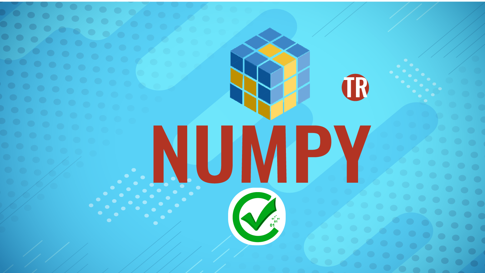Numpy 393