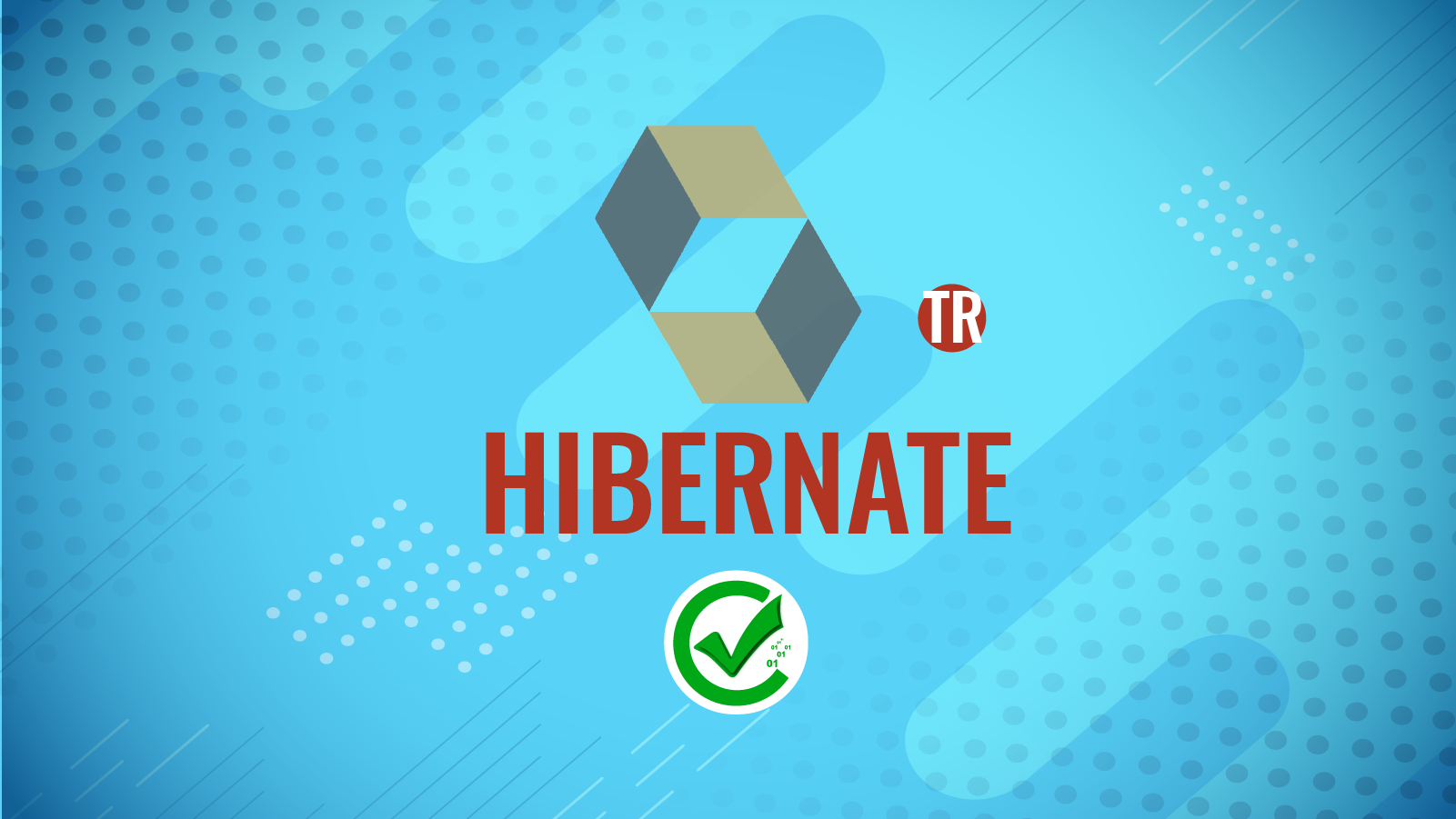 Hibernate 390 - JD010DT