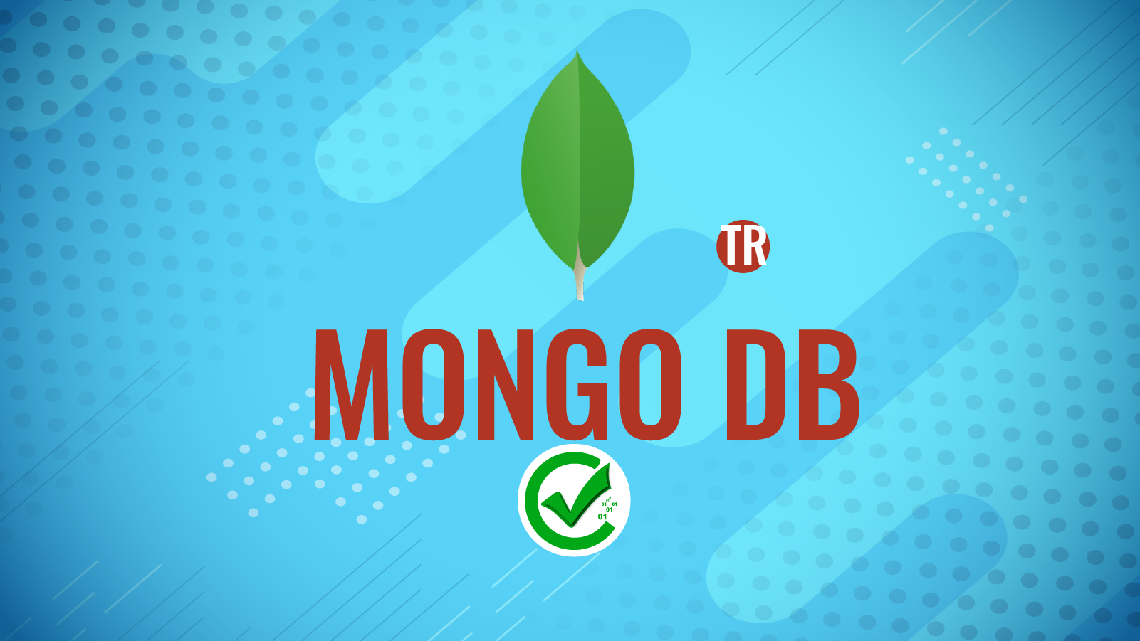 MongoDB 390 JD010TD