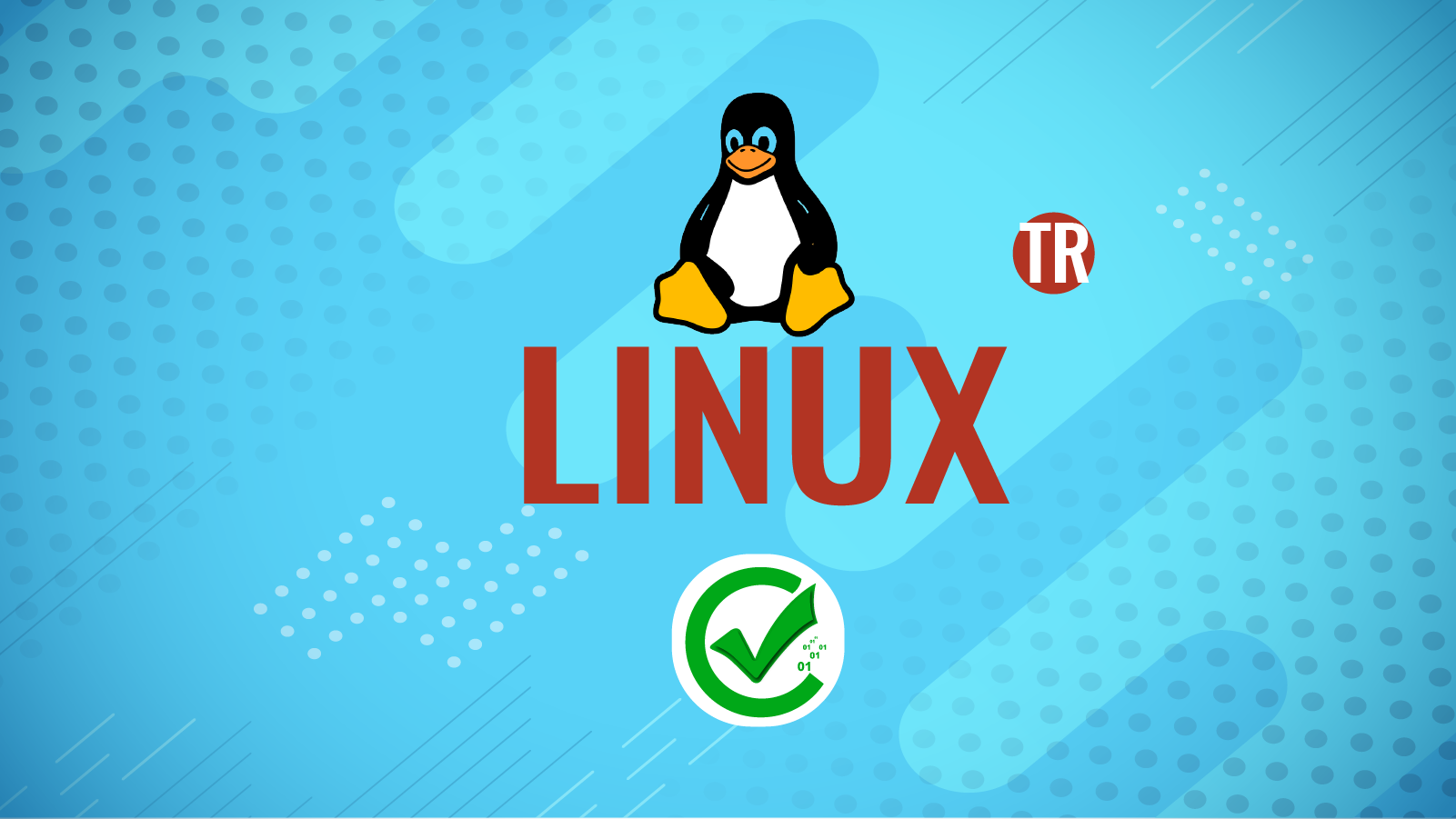 Linux 424-020DE
